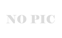 A00鋁錠(國產(chǎn))